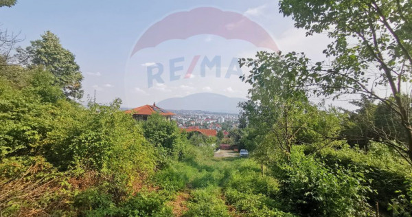 Teren intravilan 756mp si cota parte de drum Baia Mare / ...