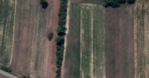 Teren de vanzare in Dumbravița, 90 de ari