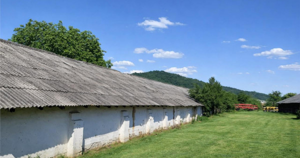 Spatiu comercial Industrial multifunctional: productie, depo