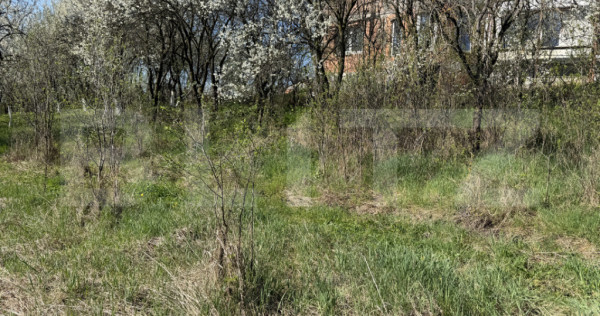 Teren intravilan in localitatea Criseni in suprafata de 2700