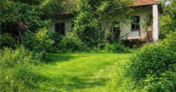 Domeniu verde autentic, 5.000mp, front la DJ, Valcele, Bra