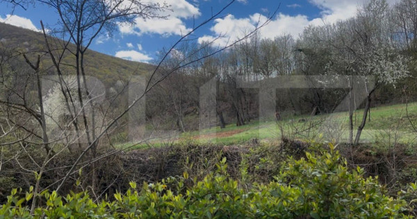 Teren 5.500 mp, liniște totală, acces asfalt, priveliște