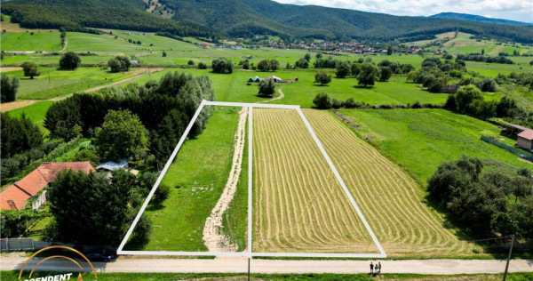 Teren intravilan,2.900mp,recomandat: investitional rezident