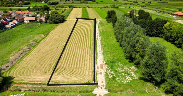 Teren intravilan,2.900mp,recomandat: investitional rezident