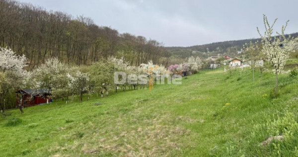 Teren intravilan Deva- Roci