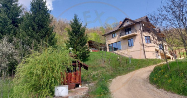 Casa imbratisata de padure + cabanuta de vara - Valea Ursulu