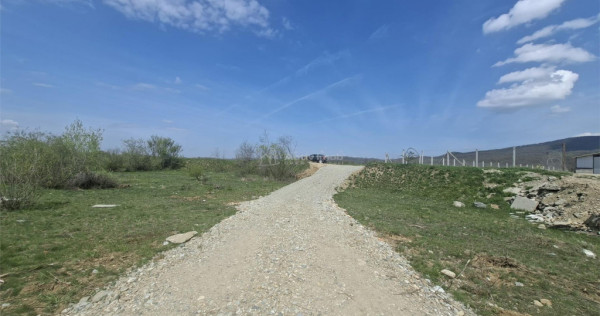 Teren extravilan de Talmaciu