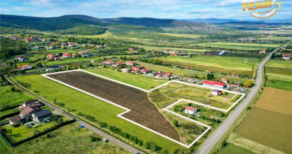 Proprietate remarcabila: 32.000mp teren, acces direct DJ112,