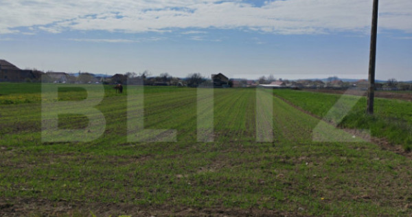 Teren intravilan 1000 mp, in Mihai Viteazu