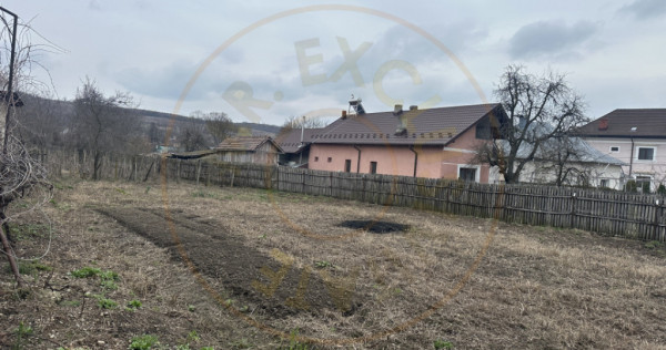Teren intravilan 1 304 mp - Calinesti- Gorganu-Arges!