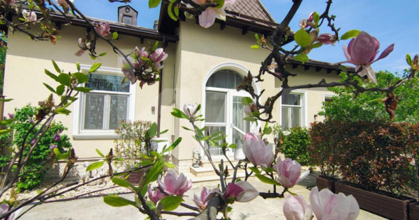 Puskin / Vila Versatila 88 mp &ndash; Cabinete / Birouri / After