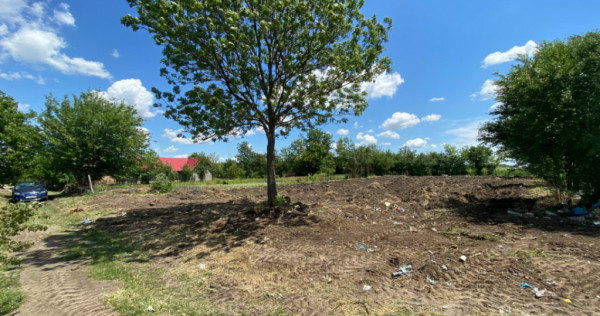 Teren Intravilan 1000mp RADOVAN