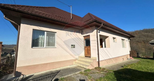 Benesat - GOSPODARIE utilata DE VANZARE