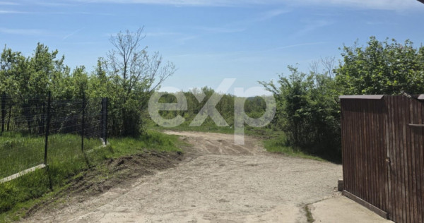 Teren 3015 mp Moșoaia &ndash; l&acirc;ngă pădure, capăt de drum,