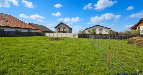 Teren intravilan Harman, 485 mp, front 20 ml, POT 35%,, cond