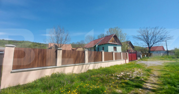 Casă autentică 3.100 mp teren, livadă si parau I Lisnau