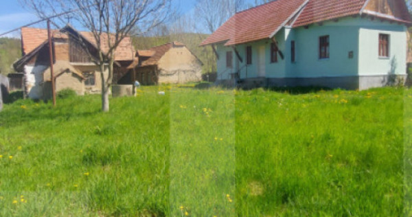 Casă autentică 3.100 mp teren, livadă si parau I Lisnau