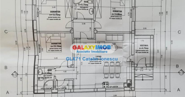 Casa 4 camere Clinceni Olteni