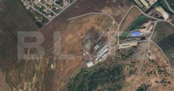 Teren intravilan Apahida, 23000 mp,cu hale de 1400+800 mp 82