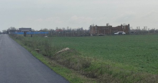 Teren intravilan Plătărești - proprietar 1568mp.
