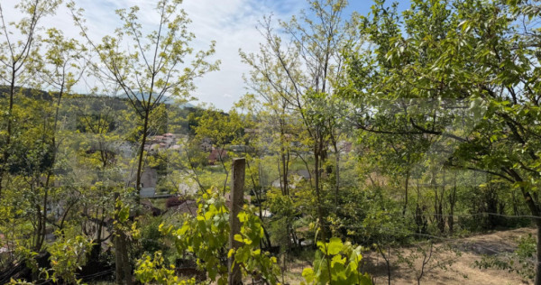 Teren de v&acirc;nzare, 1.900 mp, Zalau