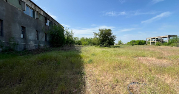 Teren intravilan 13.000 mp, ideal hale - investiție comerci