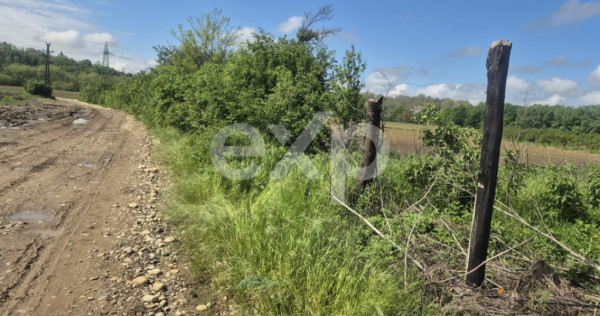 De vanzare teren la super pret in Albota, Cerbu, Arges