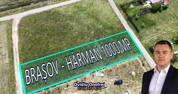 BRASOV - HARMAN - LOT 1000 MP TOTAL