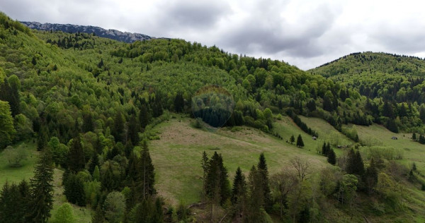Extravilan + Intravilan | Sătic-Rucăr | Cadru natural |...