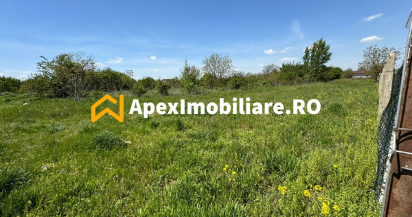 Teren intravilan de vanzare Cornetu IF | ApexImobiliare.ro