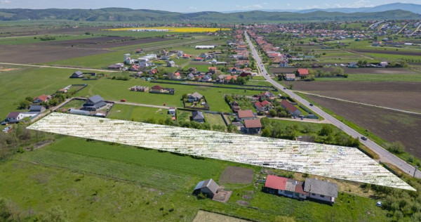 Teren intravilan Bod | Front 46 m la Asfalt | Utilități...