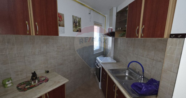 Garsoniera, zona Brailei