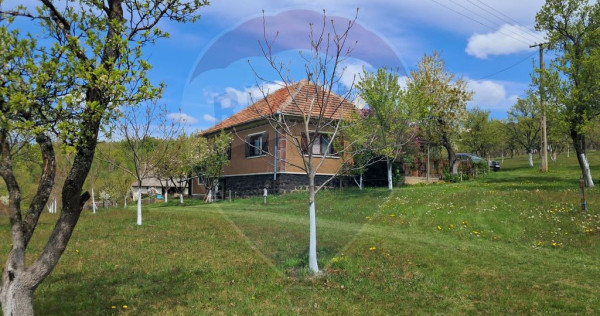 De vanzare casă cu teren 1,17ha la munte, Munteni, Bulz,...