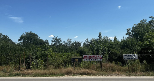 Teren intravilan mixt Buftea &ndash; Corbeanca MEGAOCAZIE | 2...