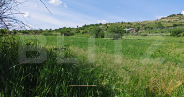 Exclusivitate! Teren 4800 mp, Turda Noua