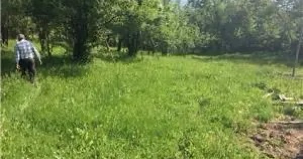 Teren de v&acirc;nzare