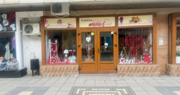 Spațiu comercial central