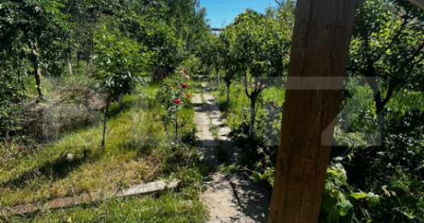 Teren de v&acirc;nzare, 9030 mp, zona Filești