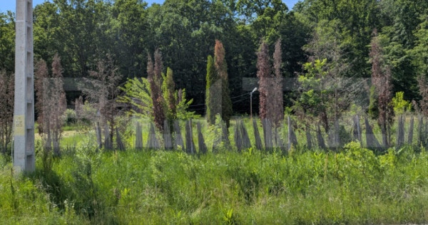 ???? Teren intravilan cu Panoramă Superbă Aătre Pădure ?