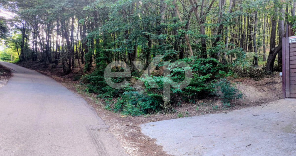 TEREN STEFANESTI(VALEA MARE) ZONA IN PLINA DEZVOLTARE