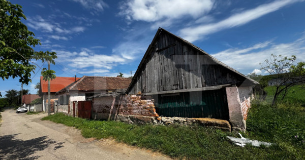 Proprietate de vanzare, 60 mp, teren 1.600 mp, Vintu de Jos