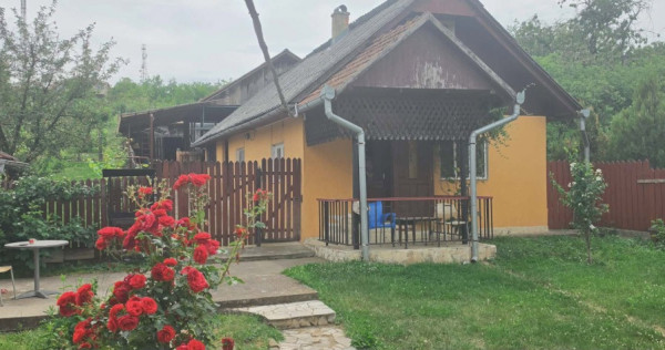 Casă cu teren 3.000 mp de v&acirc;nzare, str. Adevărului