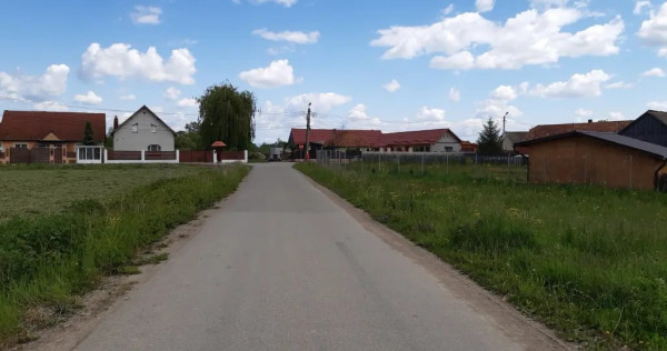 Teren intravilan construibil utilitati la drum asfaltat 5000 mp