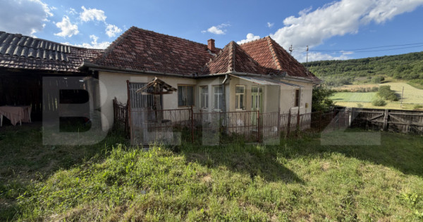 Casă cu 3 camere și un teren de 4100 mp