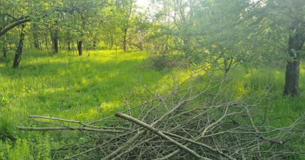 Terenuri intravilane pentru constructie casa in Simeria Veche