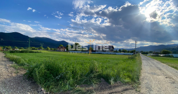 Teren de vanzare Alexandru cel Bun 20.000 Euro 735mp
