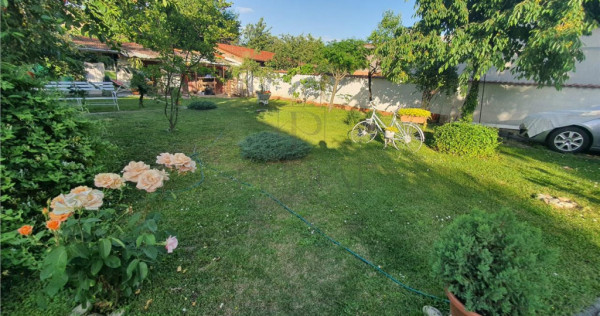FREIDORF, CASA INDIVIDUALA D P Pod, 5 CAMERE CU GARAJ SI TER