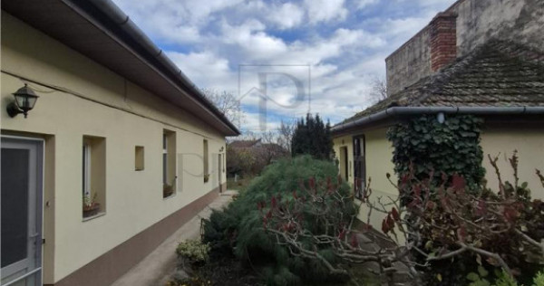 CALEA BUZIAS, 2 CASE INDIVIDUALE CU TEREN GENEROS