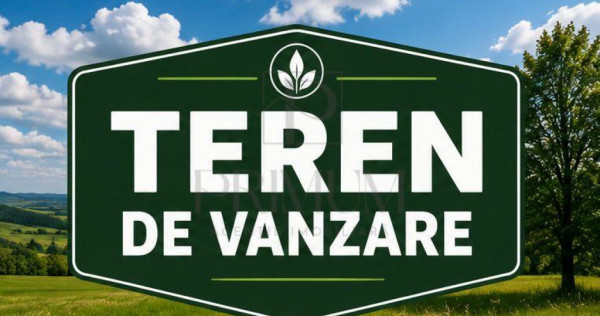 Teren- MOSNITA VECHE- 602 mp