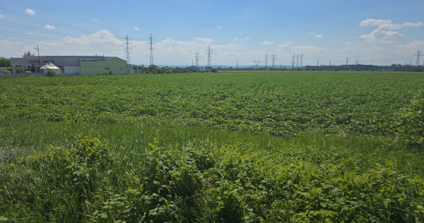 Teren intravilan pentru dezvoltare industrială/logistică ?